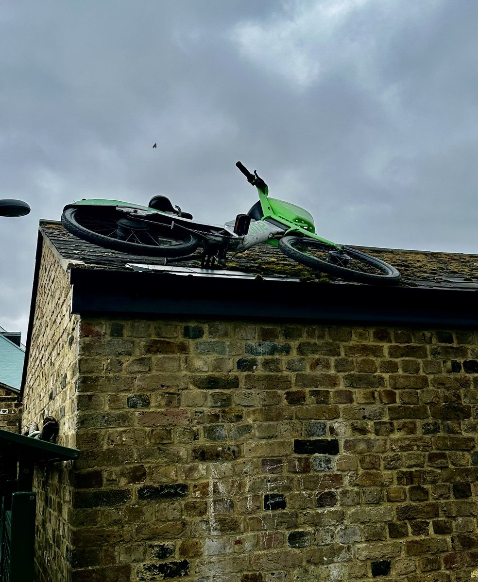 Christopher Leader tweet media