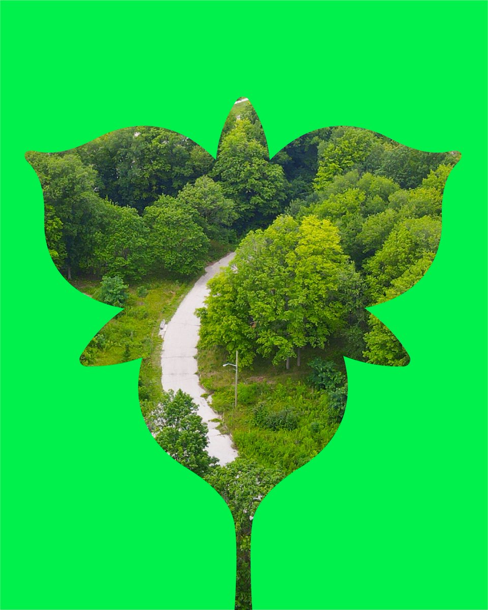 Before Arbo, this area was known as the William Baker neighbourhood, developed in the 1950s for senior RCAF officers and designed around an existing woodlot. A reminder that this land has long been shaped by purpose and planning.