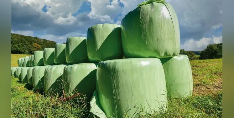 African Farming tweet media