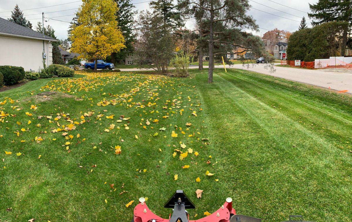 NLSupdates tweet picture
