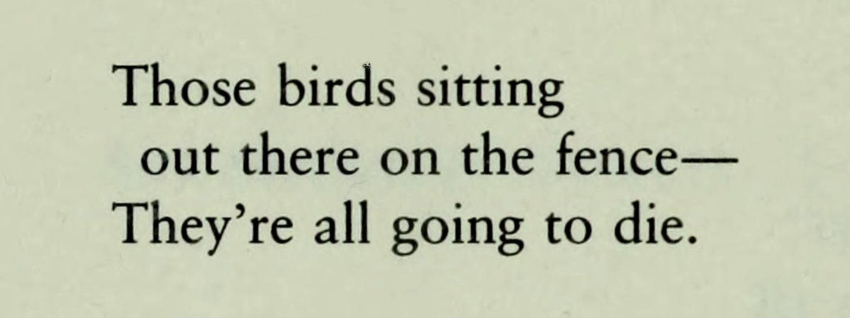 phillip crymble tweet media