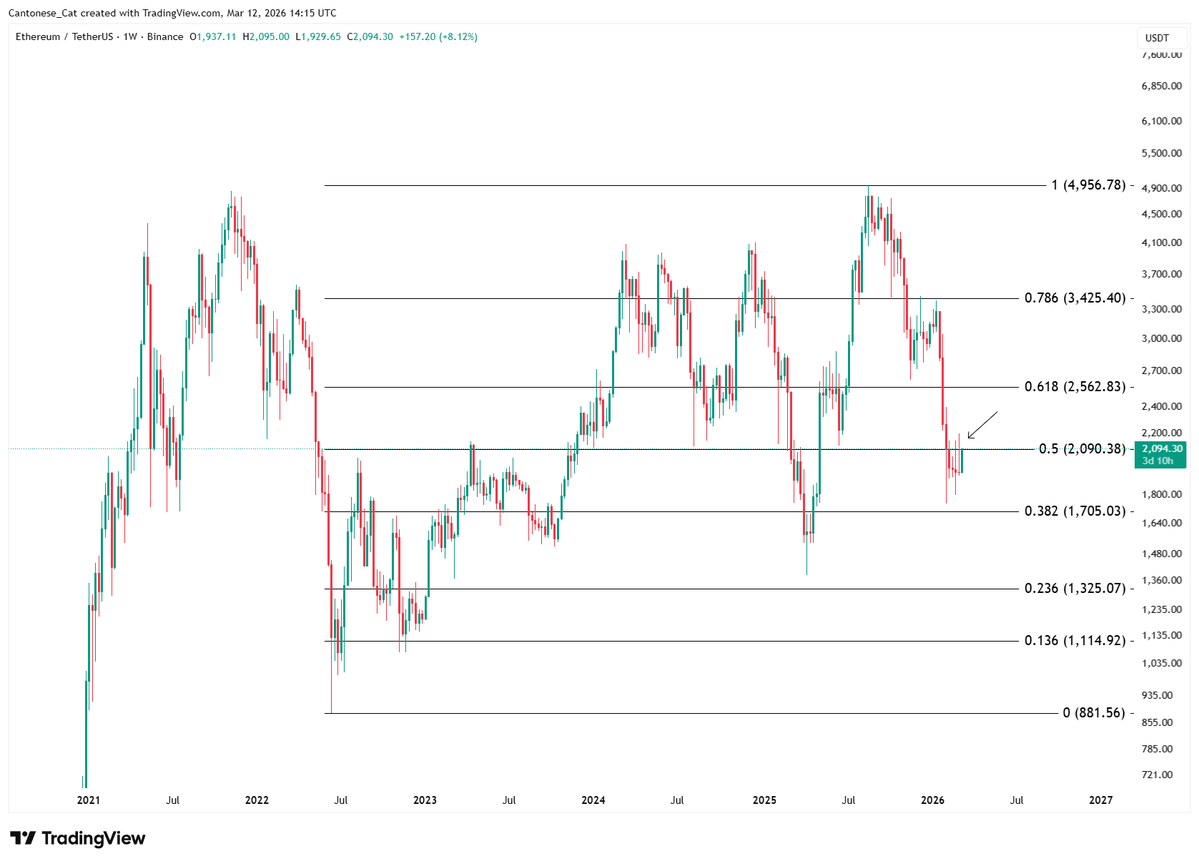 Cantonese Cat 🐱🐈 tweet media