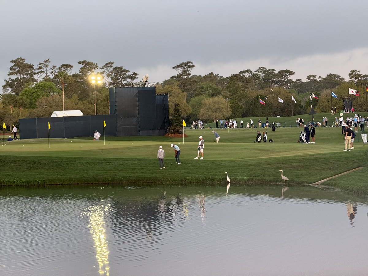 Corey Simma tweet media