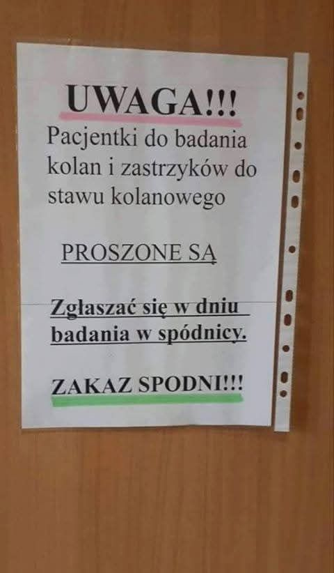 Maja tweet media