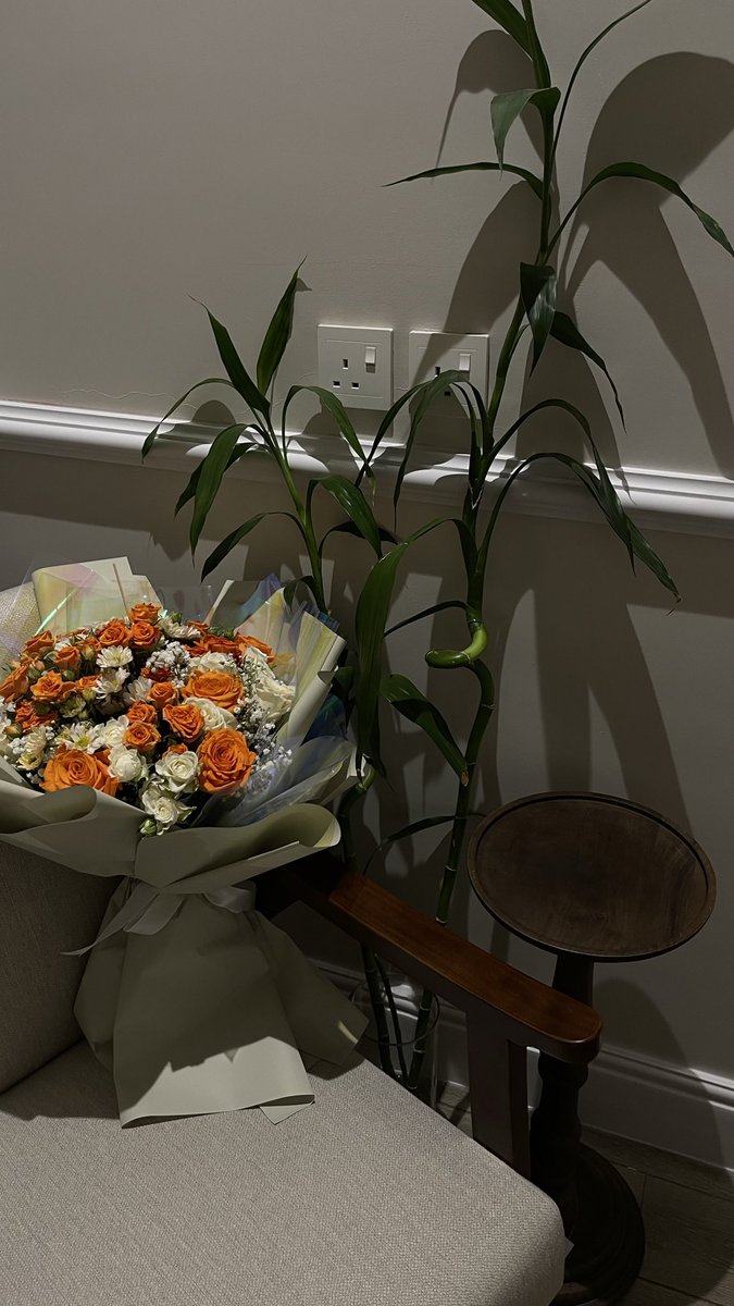 سَاره 🌙 tweet media