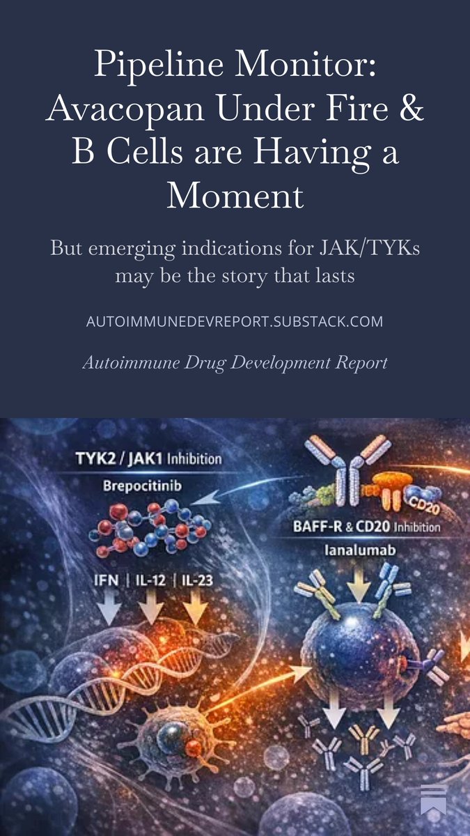 Mike Putman tweet media