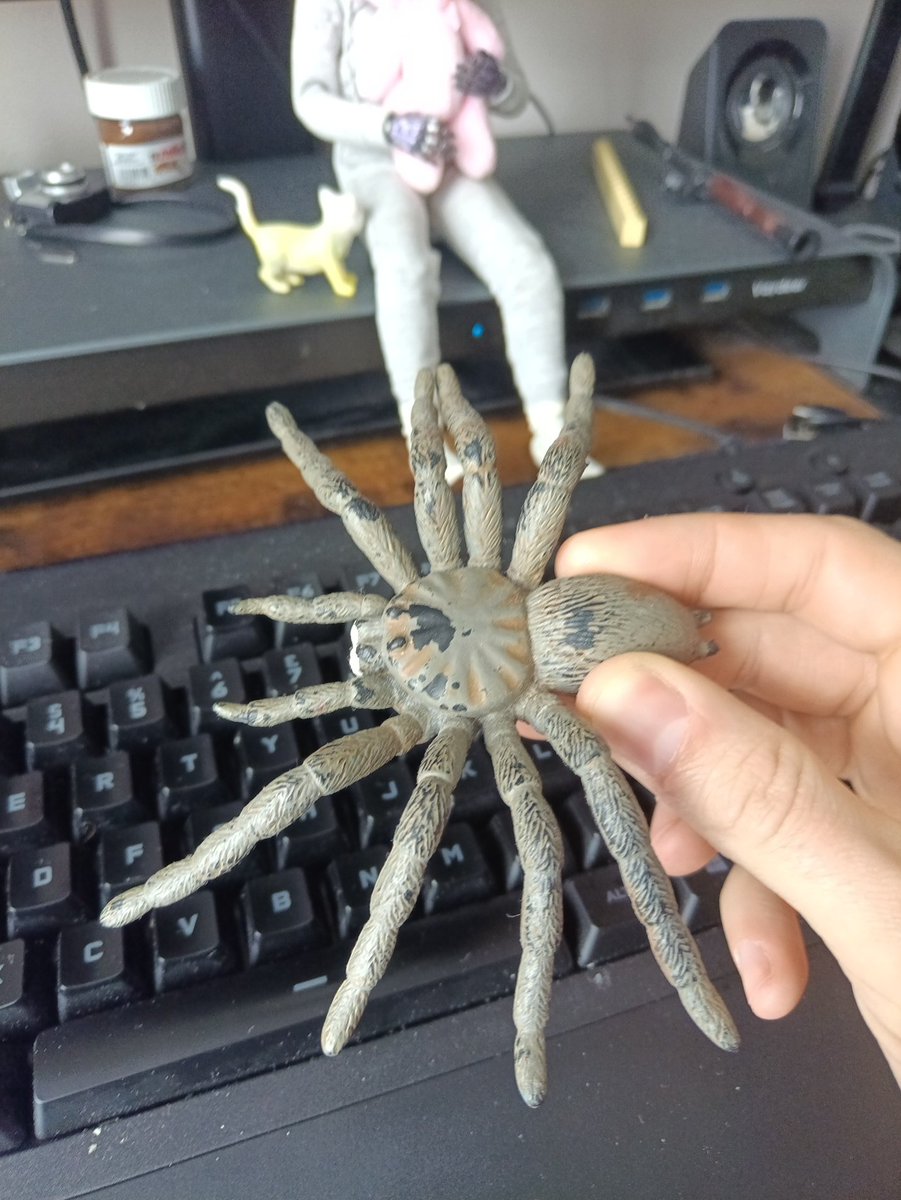 alexiogrenier's tweet image. This toy is 30 years old hahaha. #OldToys #Spider #TriggerWarning #What