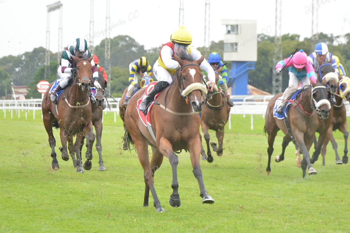 JC Photos 0833908945 tweet media