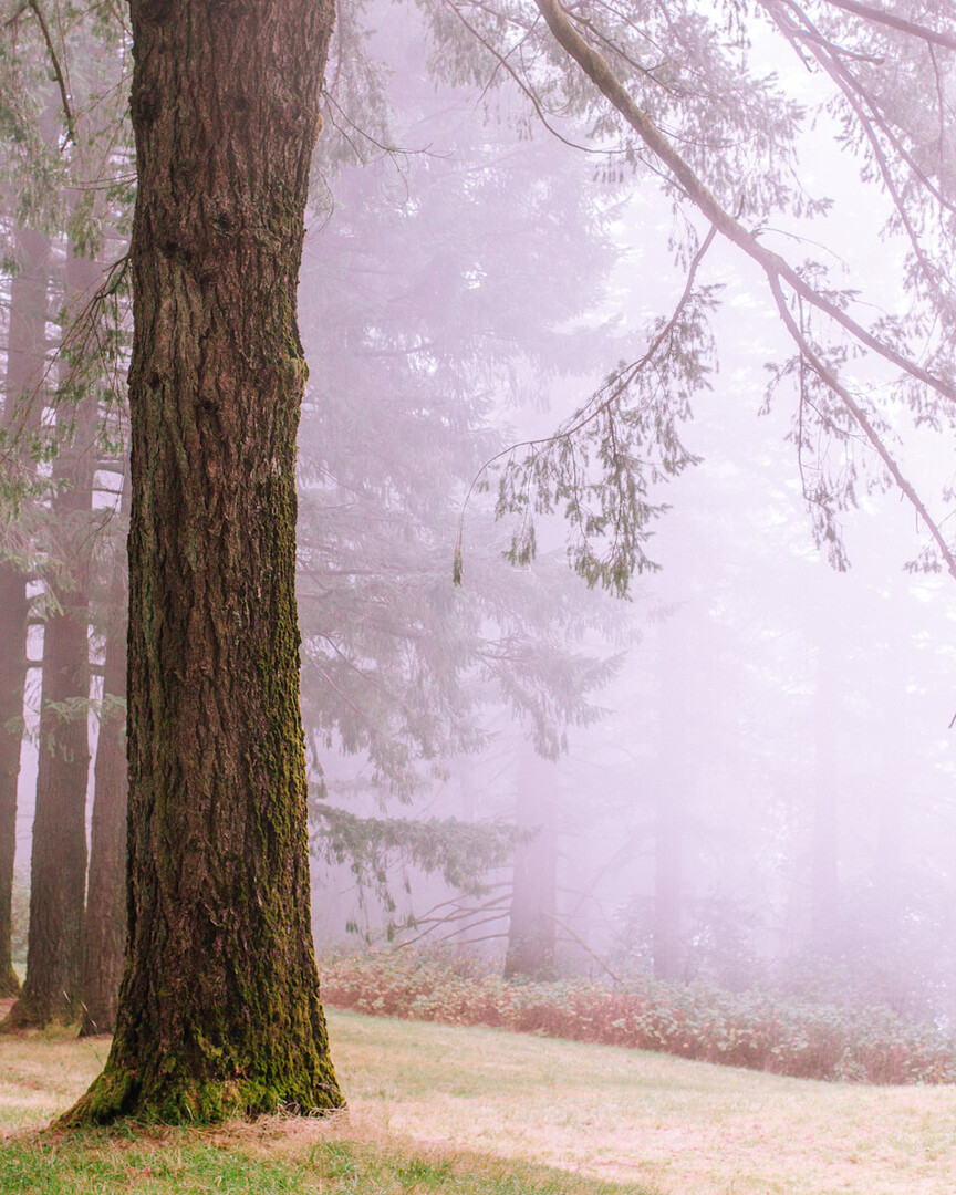 Eric Muhr tweet media