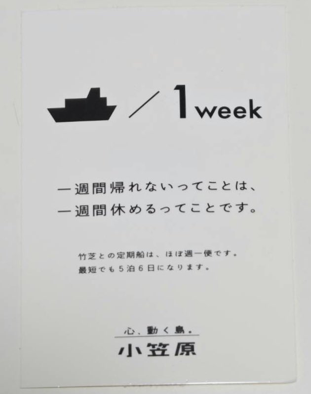 ゆうま tweet media