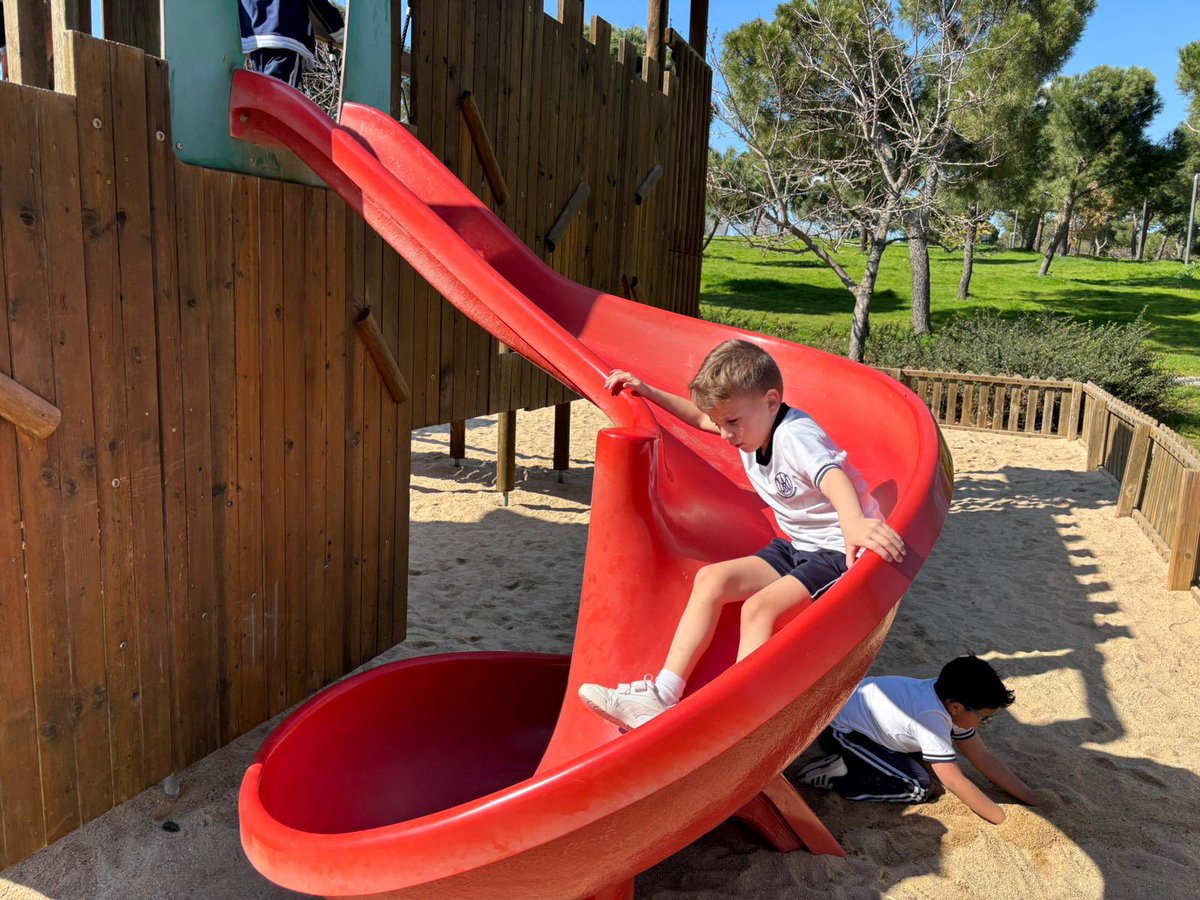 La Inmaculada tweet media