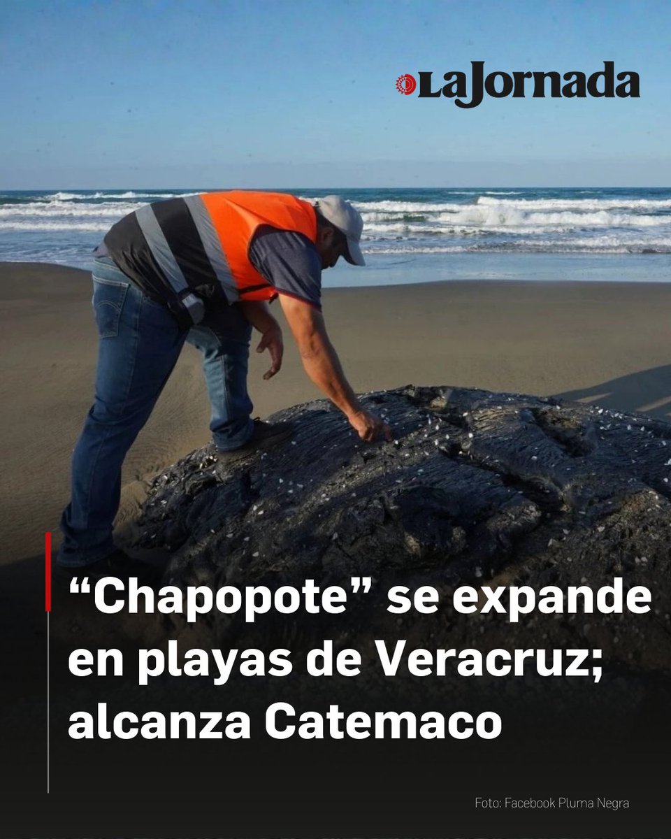 A nueve días del inicio de la contaminación por chapopote en el litoral veracruzano, la afectación se ha extendido a los municipios de Catemaco, Coatzacoalcos, Alvarado, Pajapan, Mecayapan y Tatahuicapan.

Autoridades locales de Catemaco confirmaron el hallazgo de material sólido