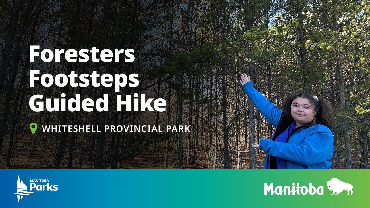 Manitoba Parks tweet media