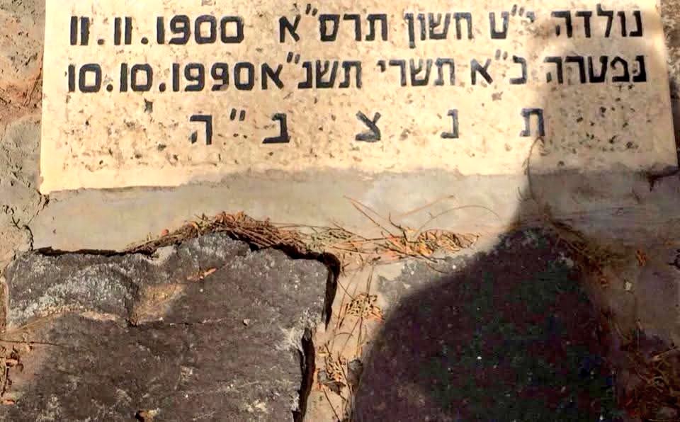 Rotem Drob tweet media