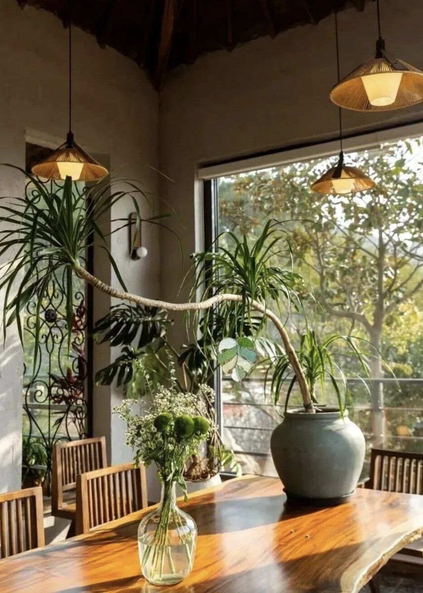 TravelYant95583's tweet image. Happiness in Yantai 🌿
Mountains and sea.
Cherry blossoms to tulips.
Coffee in the fields.
Clay pot chicken in the countryside.
Spring feels softer here.
#Yantai #SpringInYantai #SlowLiving #VisitYantai