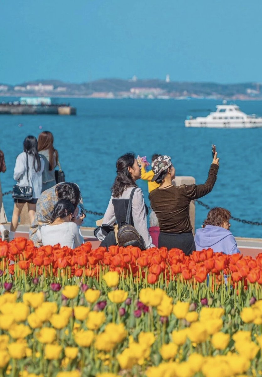 TravelYant95583's tweet image. Happiness in Yantai 🌿
Mountains and sea.
Cherry blossoms to tulips.
Coffee in the fields.
Clay pot chicken in the countryside.
Spring feels softer here.
#Yantai #SpringInYantai #SlowLiving #VisitYantai