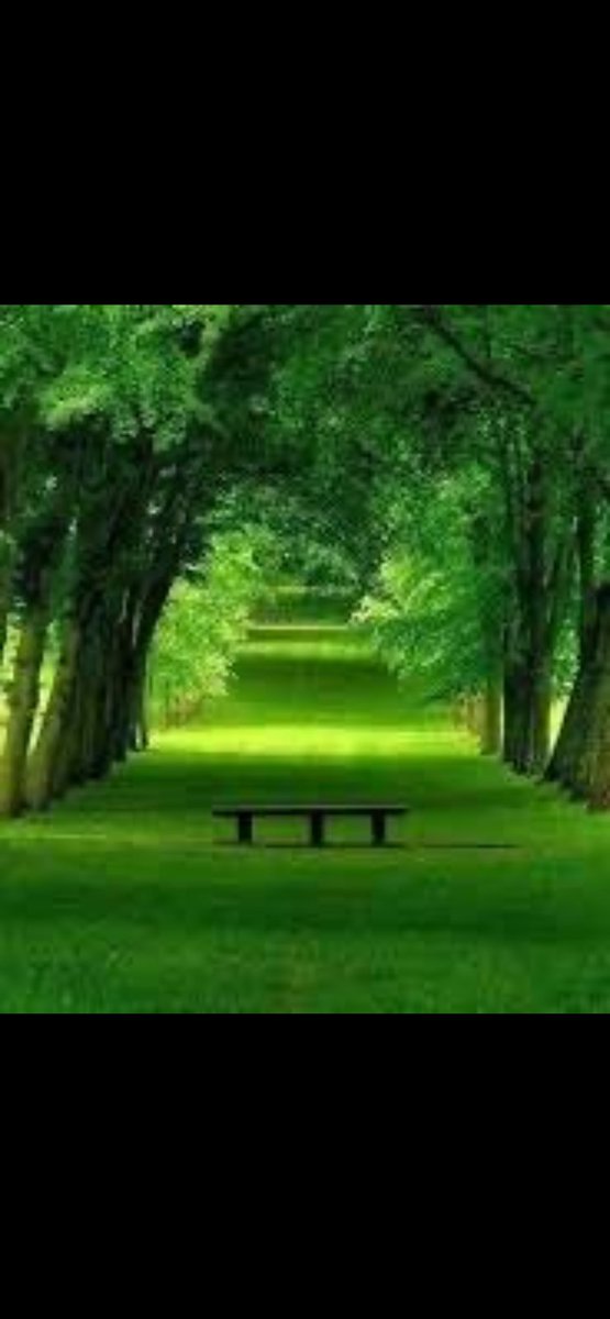 حسن احمد الركن tweet media