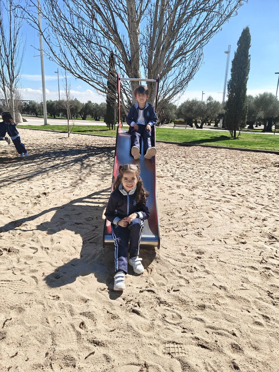 La Inmaculada tweet media