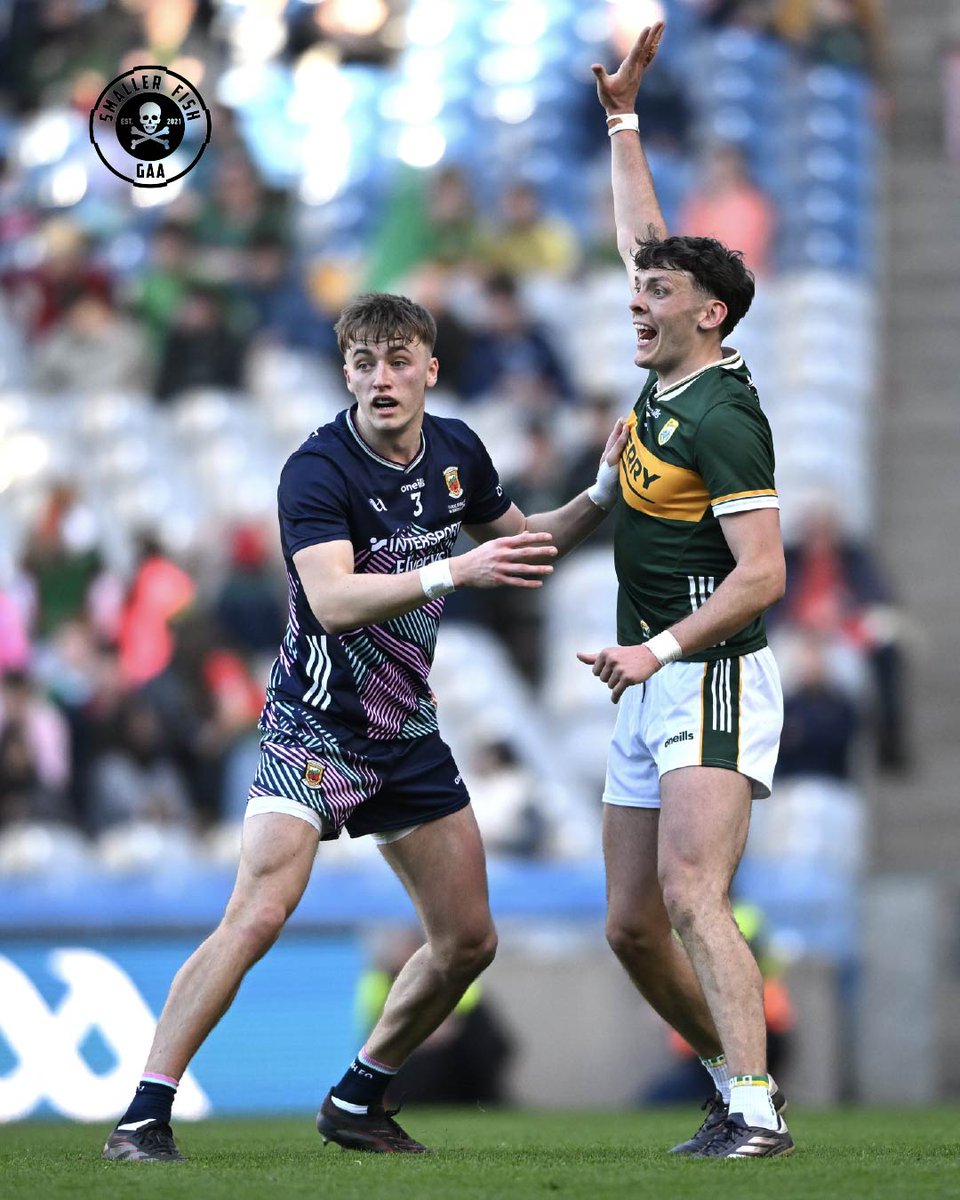 Smaller Fish tweet media