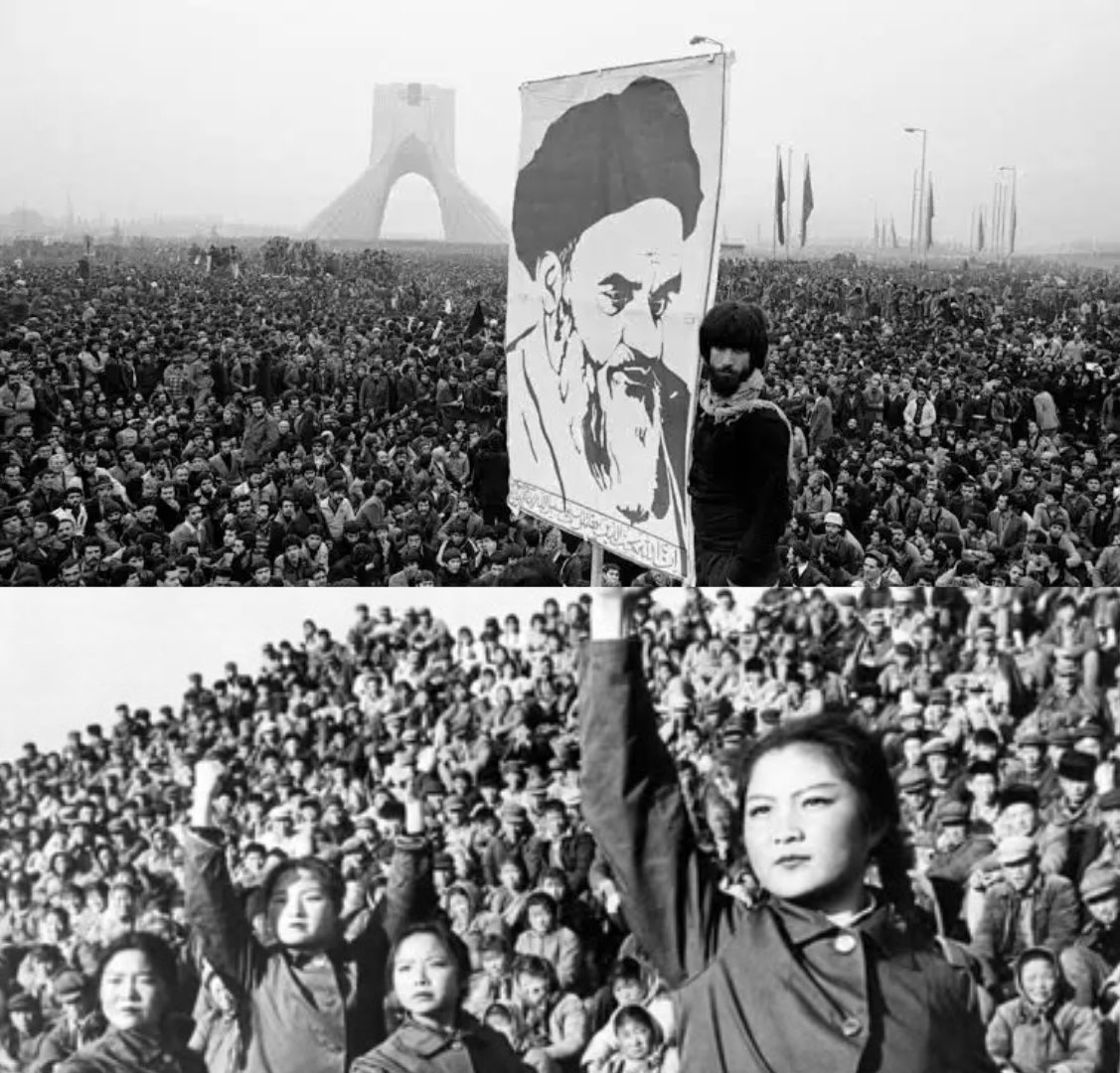 Xi Van Fleet tweet media