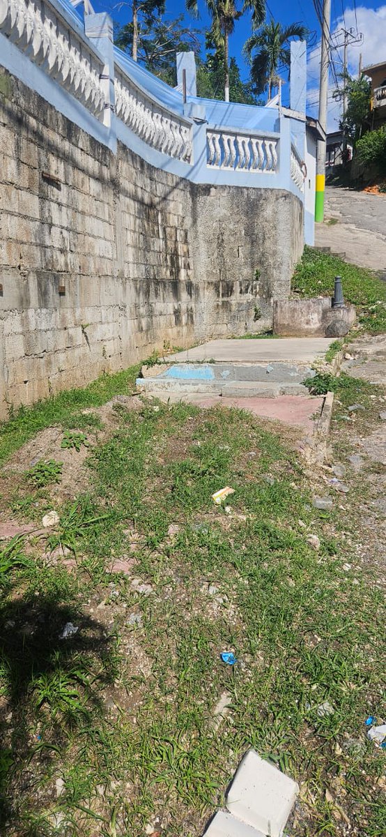 Juliet Cuthbert-Flynn MP, OLY tweet media