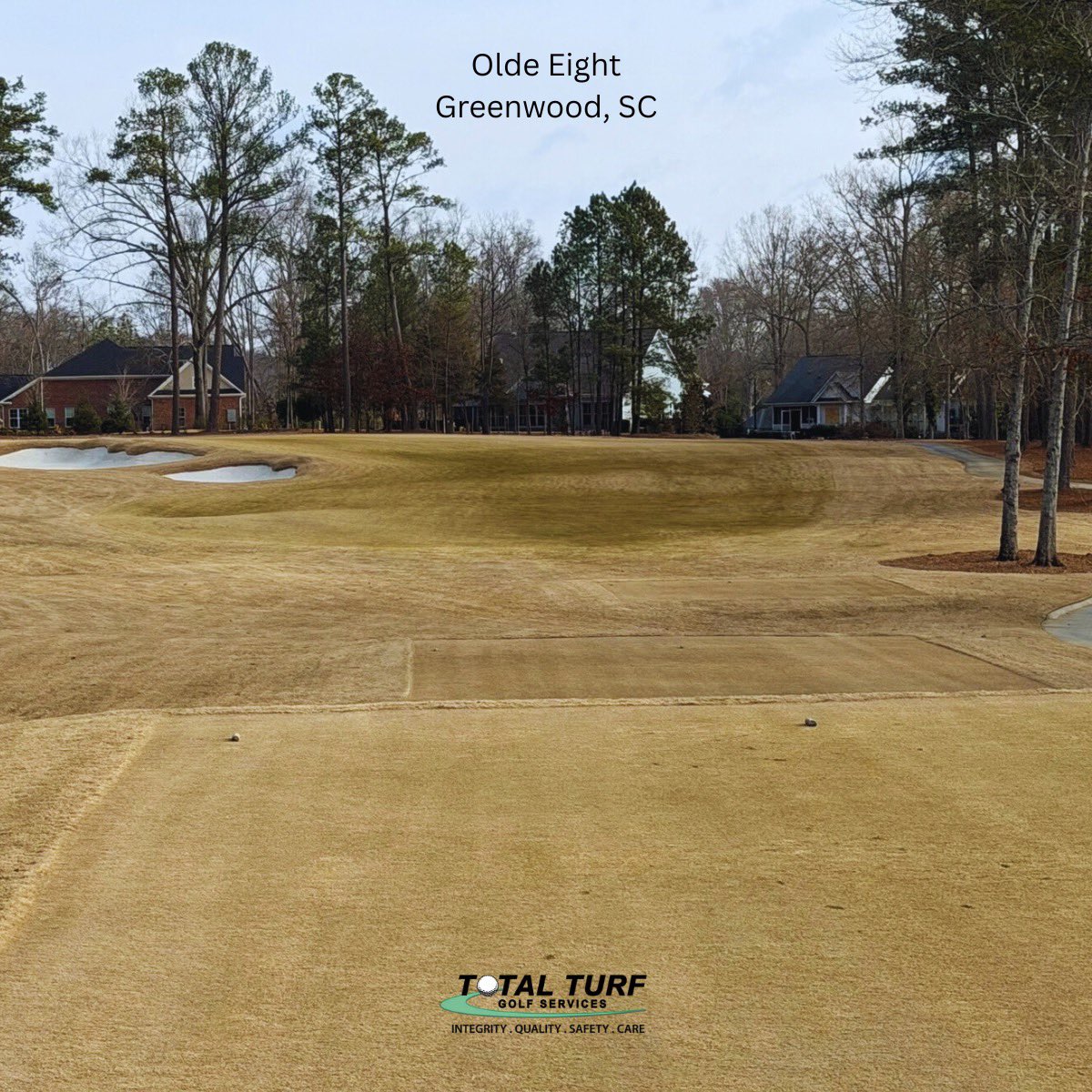 Total Turf Golf tweet media