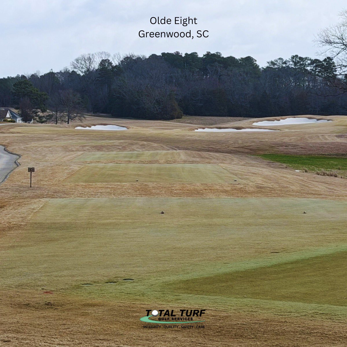 Total Turf Golf tweet media