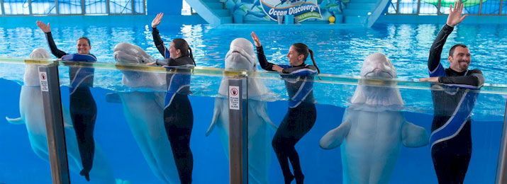 destcoupons's tweet image. Save 35% off San Antonio’s top family attractions with the #GetOut Pass! buff.ly/Q2QC88o Enjoy access to dozens of activities including theme parks, water parks, zoos, aquariums, mini golf, and much more. Unlock a full year of fun and  experience #SanAntonio #attractions.