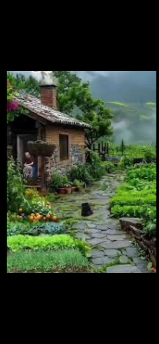 حسن احمد الركن tweet media