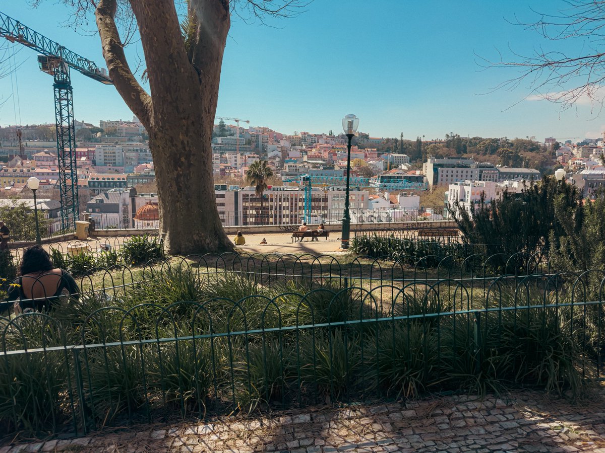 Timur Seyfelmlyukov tweet media