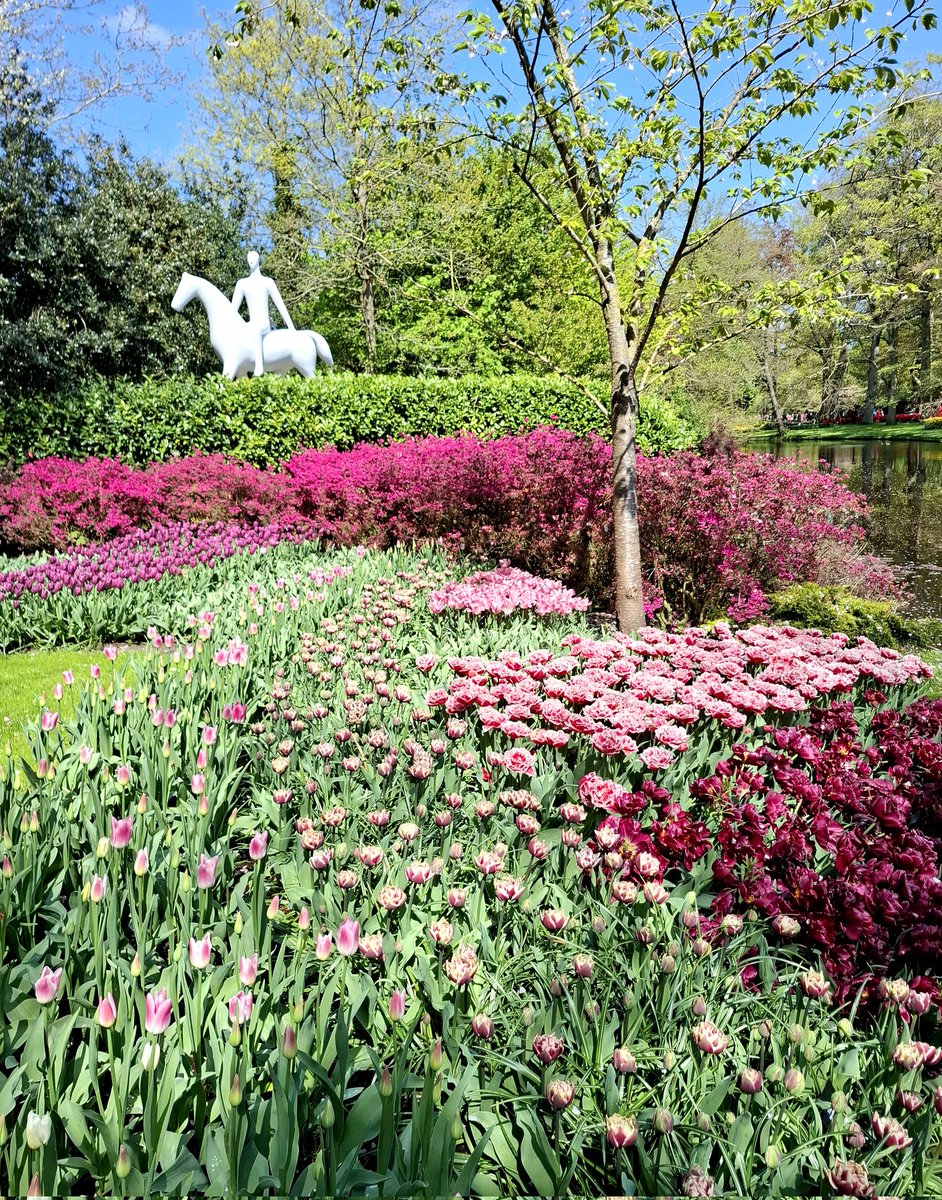 chriz31_07's tweet image. Schönen Donnerstag allen....!👋🍀

#happythursday
#ThrowbackThursday 

My throwback is to Spring 25
Keukenhof Netherlands 🇳🇱

Share your throwbacks!