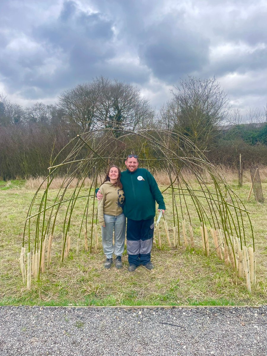 TillyTractor tweet media