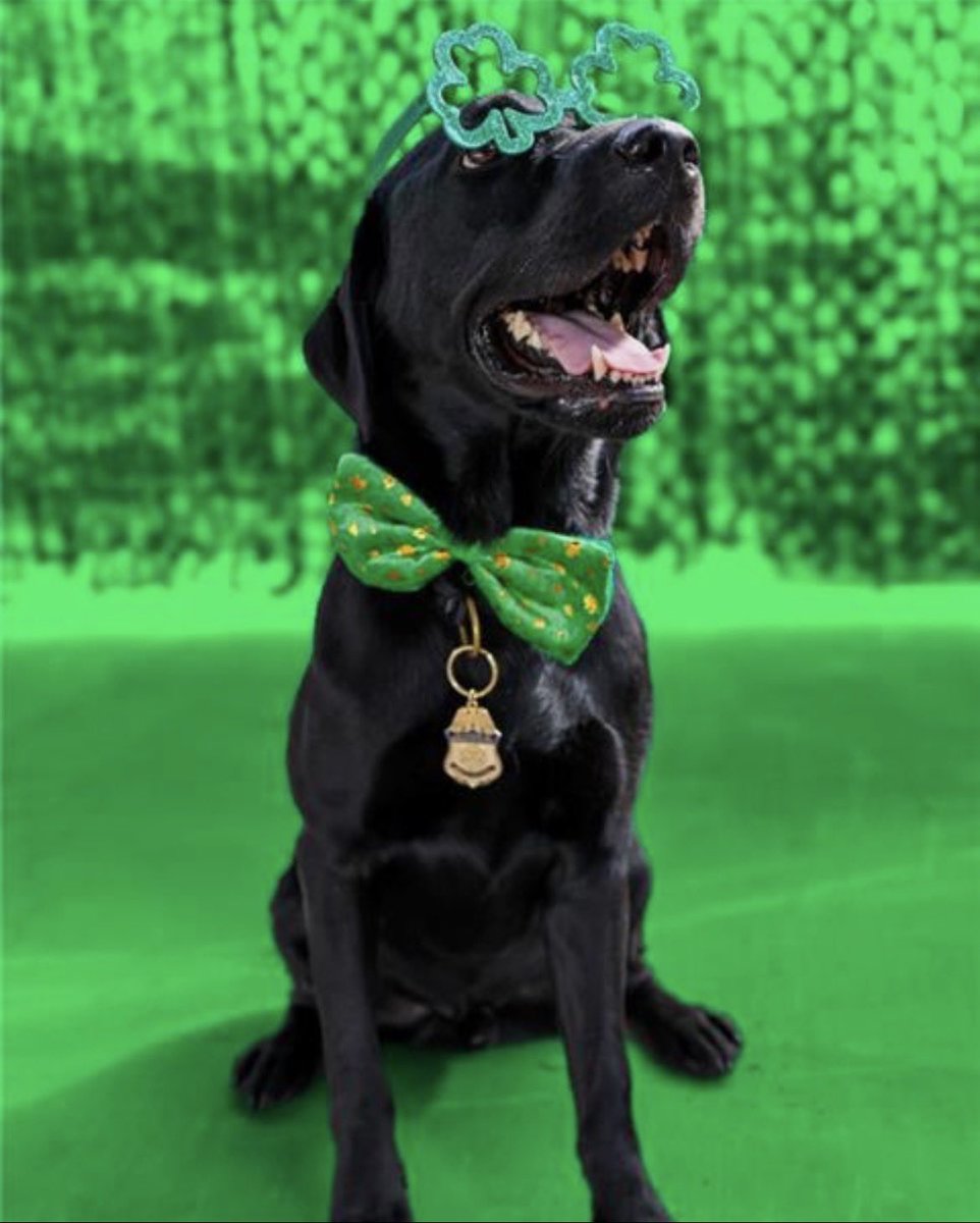 Director of Field Operations, Donald R. Kusser tweet media