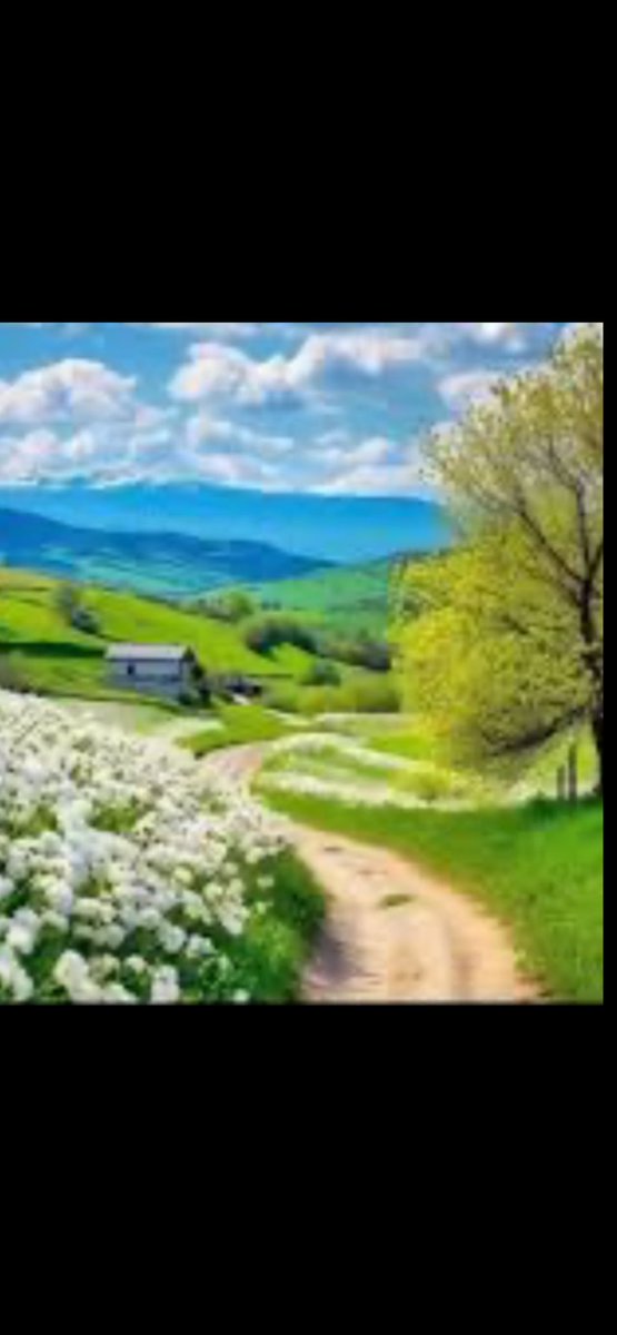 حسن احمد الركن tweet media