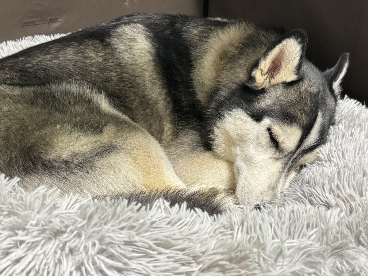 クロス tweet media