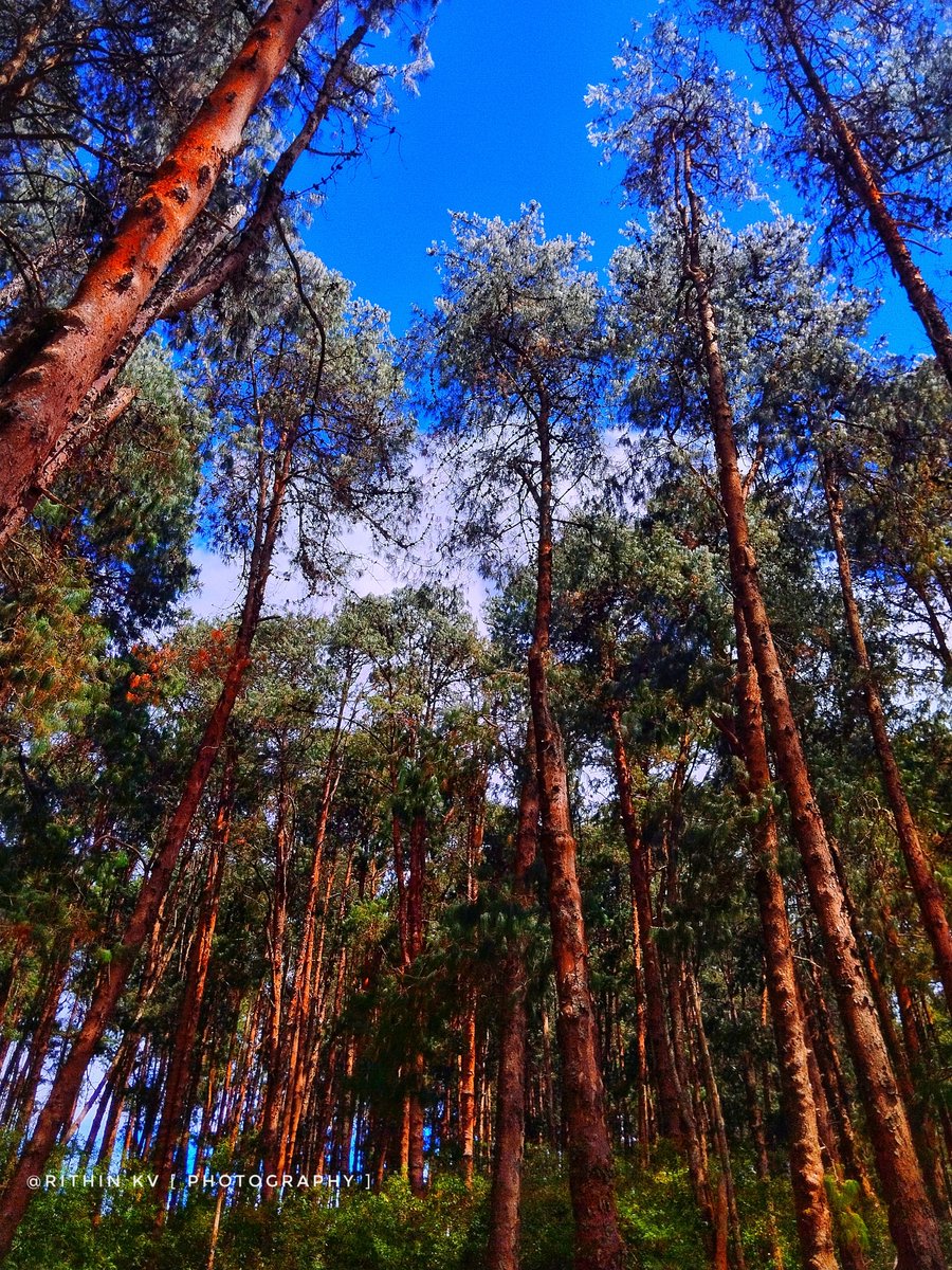 RITHIN KV | Photography 📸 tweet media