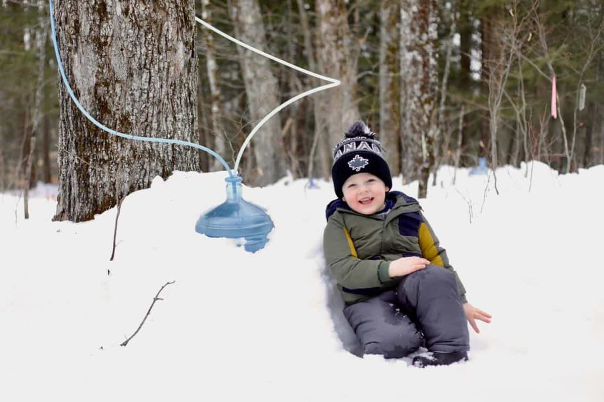 Stewart's Shops tweet media