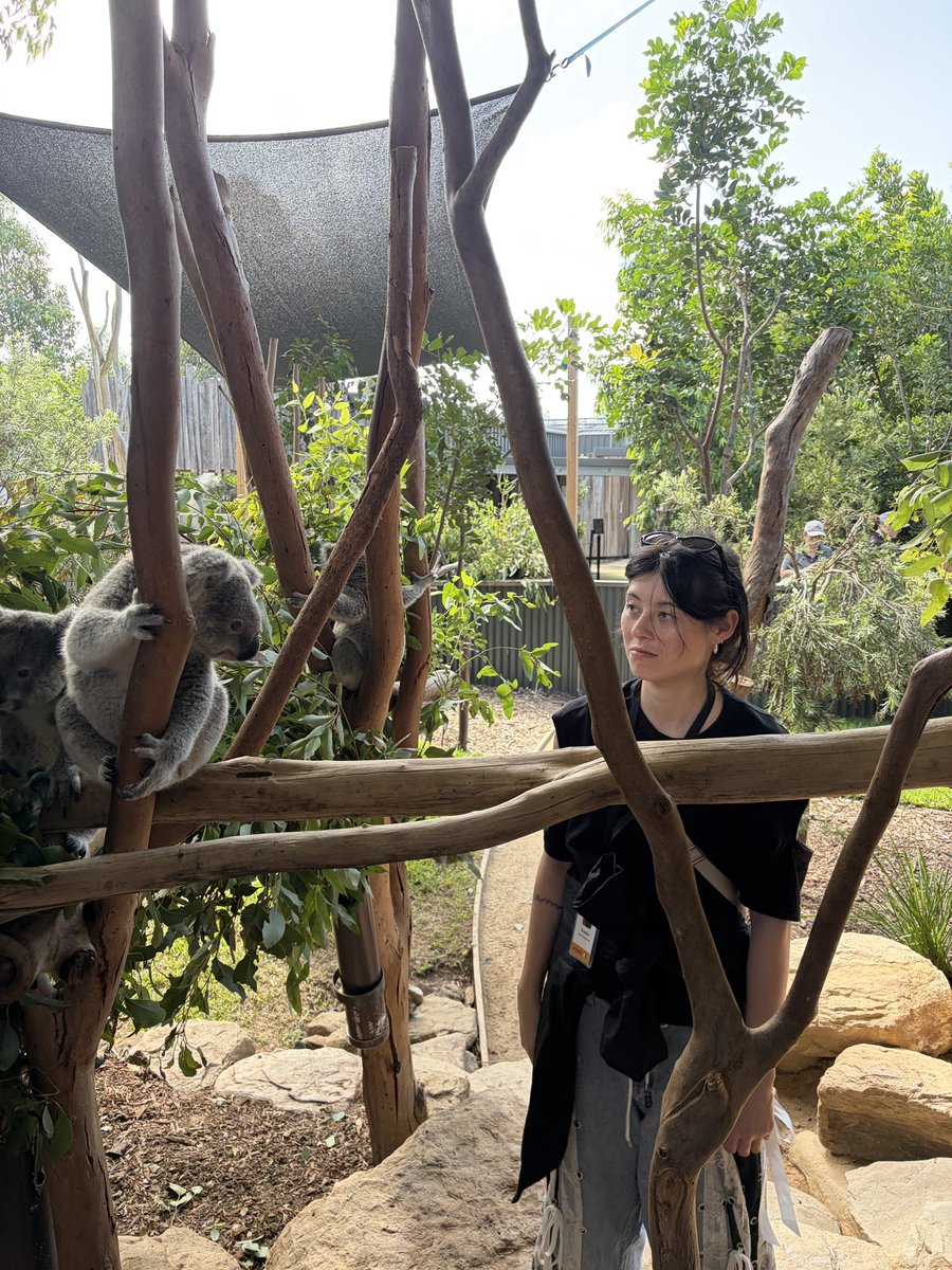 rachel brown bot tweet media