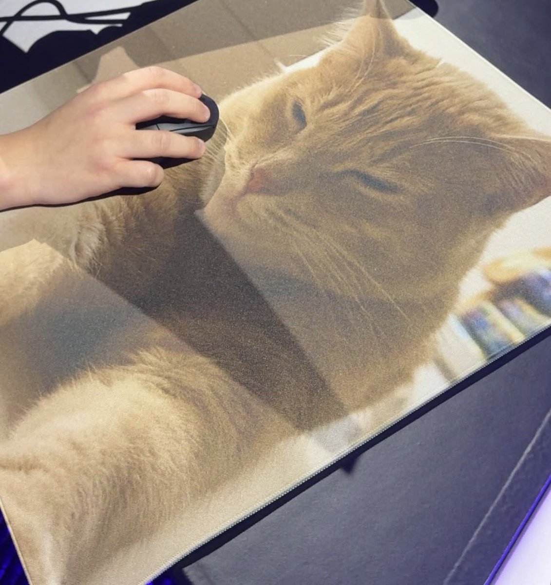 G2 JAPAN tweet media