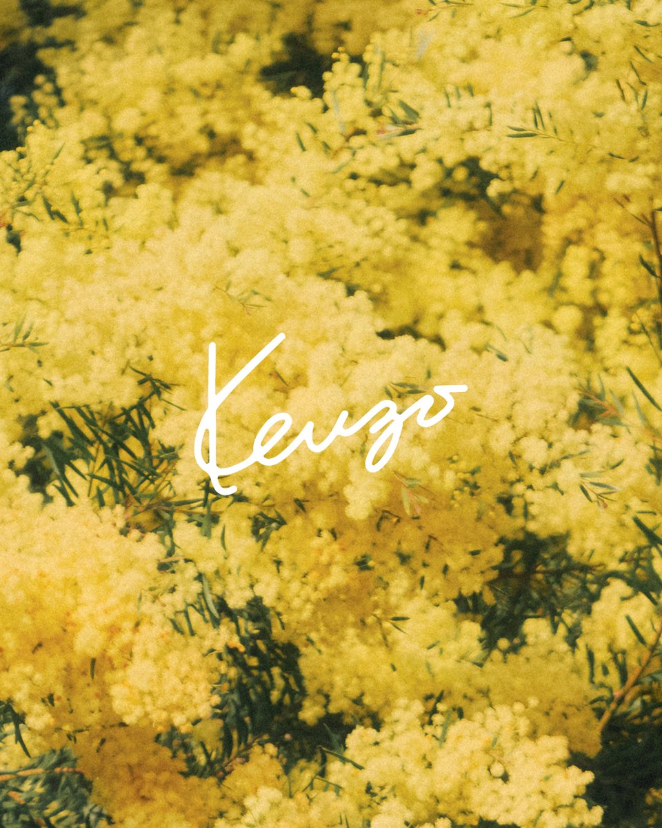 KENZO tweet media