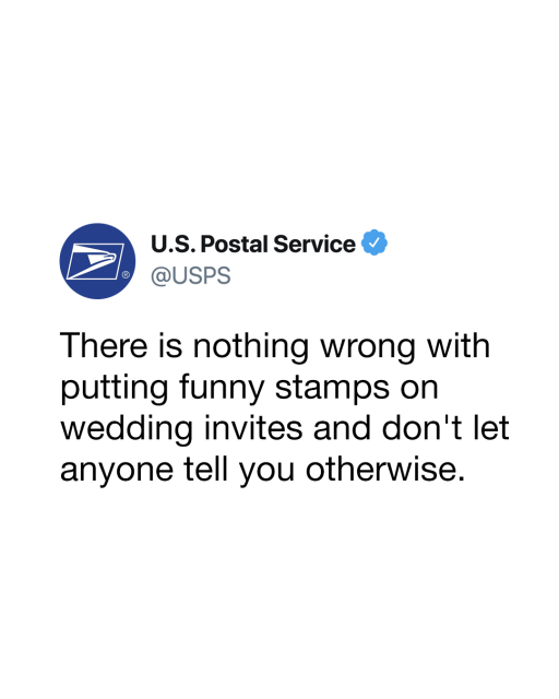 Amber VanVolkinburg tweet media