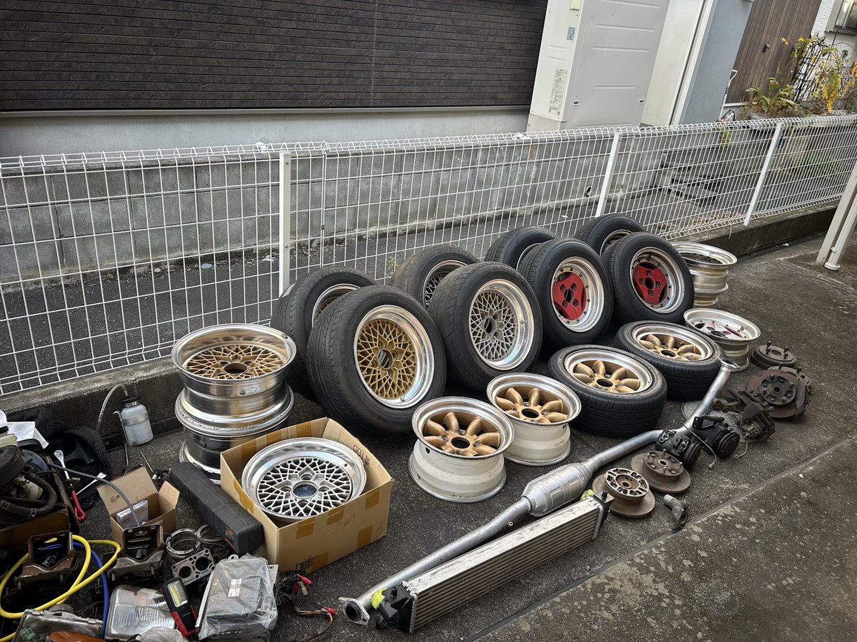 メジロティーガー tweet media