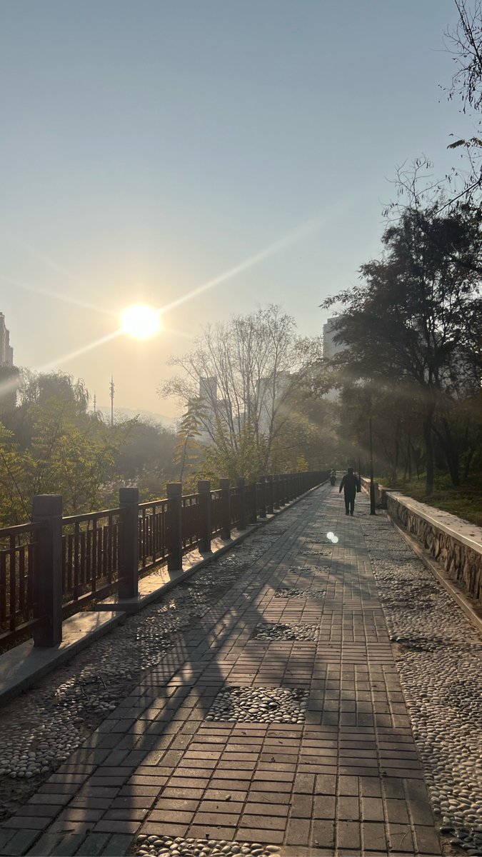 さとう tweet media