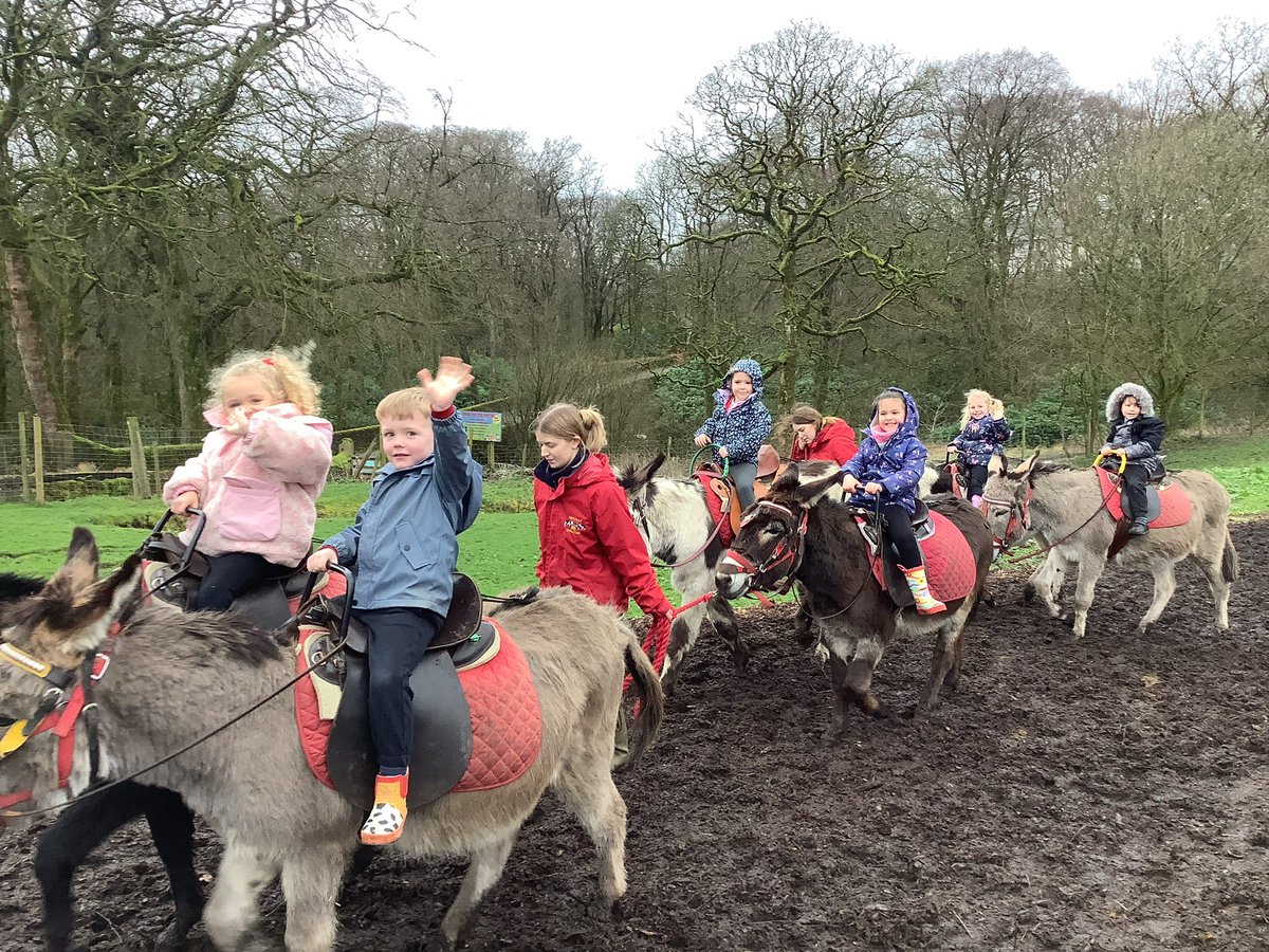 Millbrook Reception tweet media