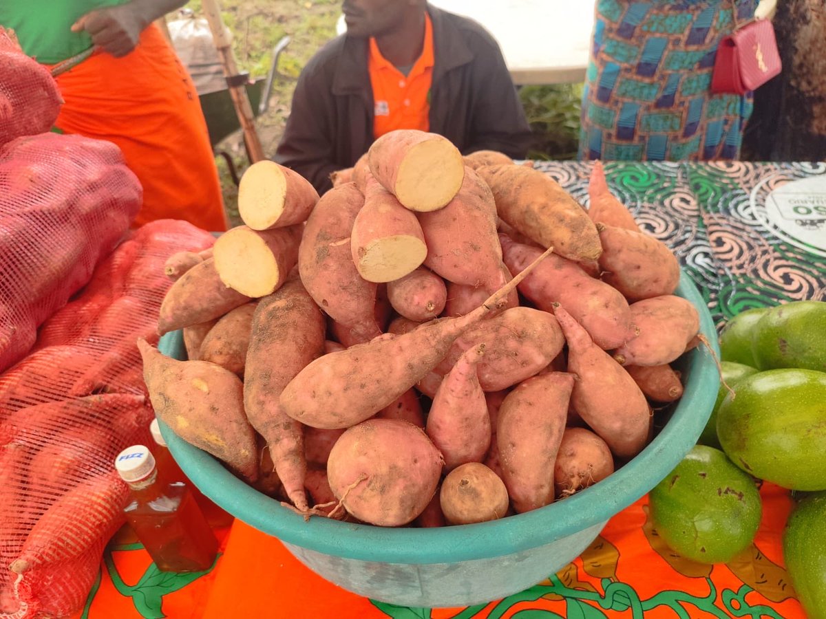 Ireland in Mozambique tweet media