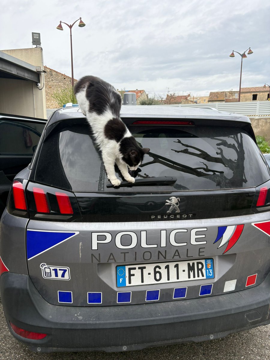 Police nationale 13 tweet media