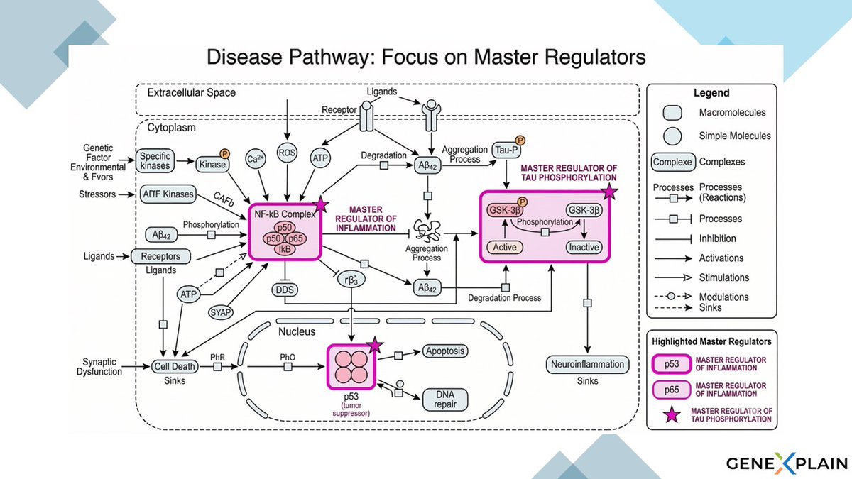 geneXplain GmbH tweet media