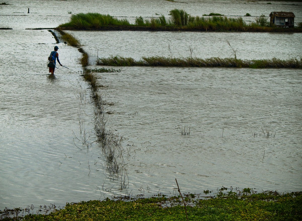 Farming First tweet media