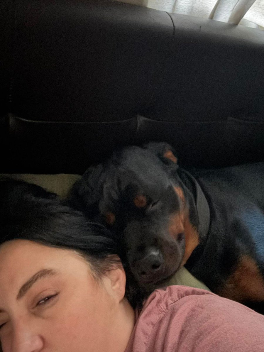 Ts Lola 🏳️🌈 ®️ tweet media