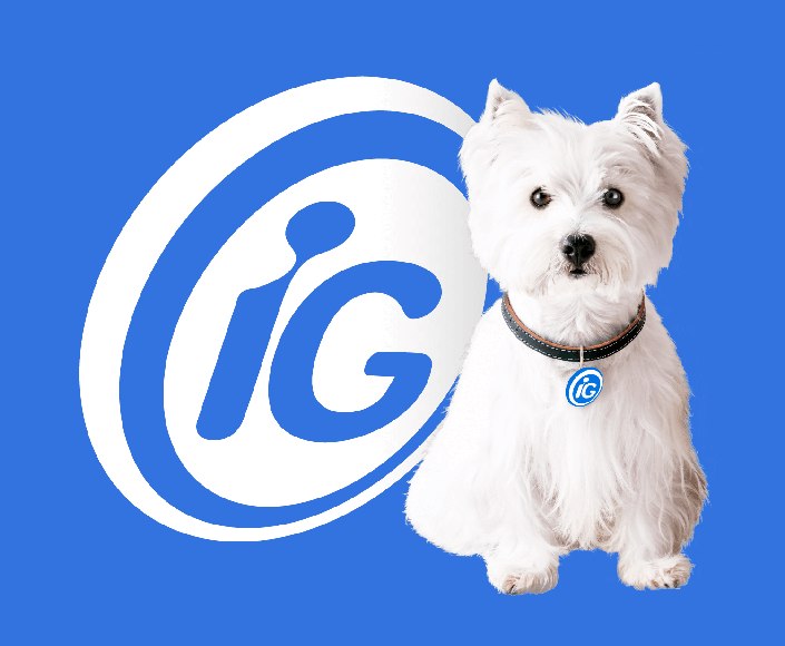 Ygor Frëmo tweet media